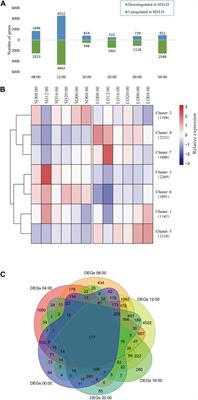 Transcriptome Analysis Reveals Photoperiod-Associated Genes Expressed in Rice Anthers